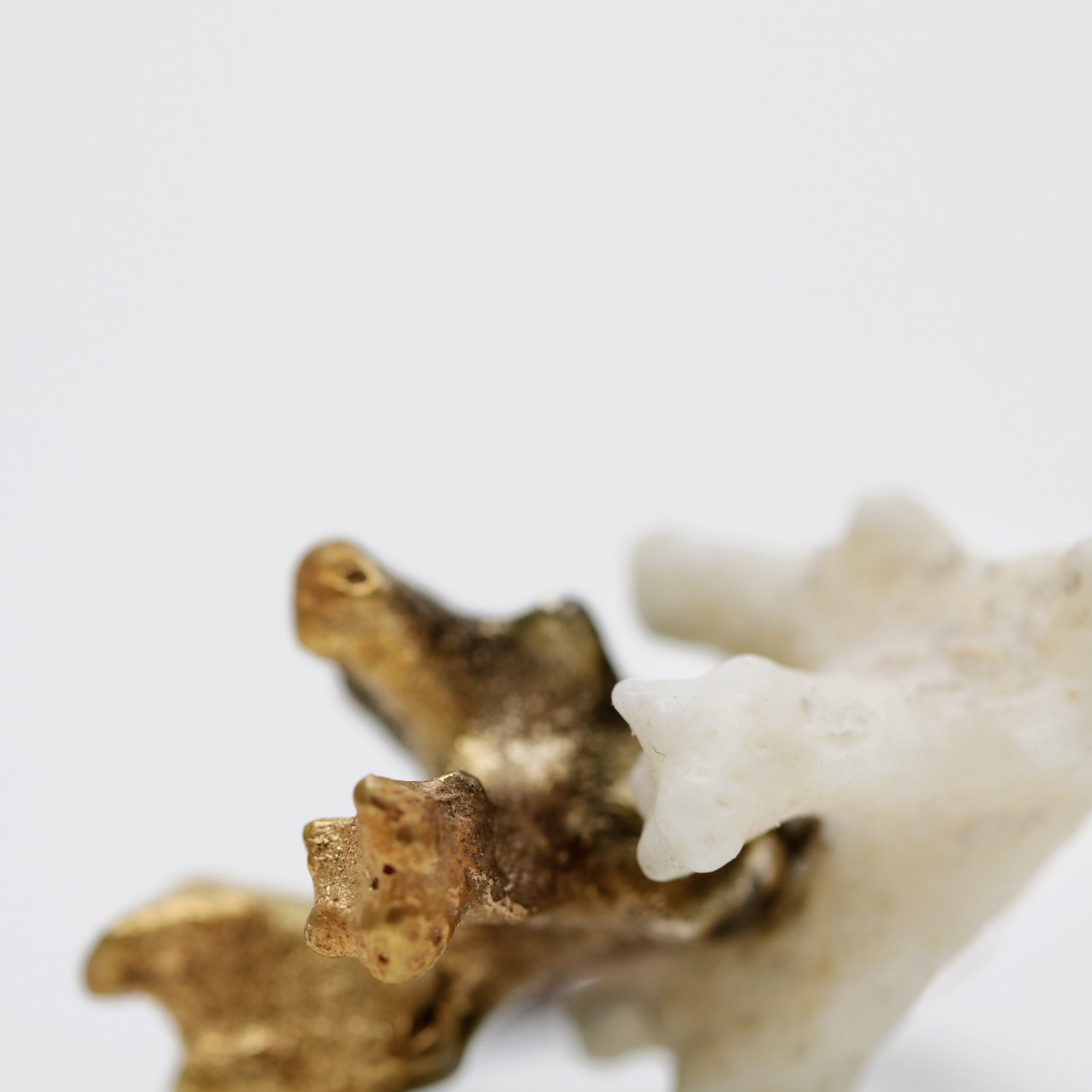Coral Ring – Paula Vieira Jewellery