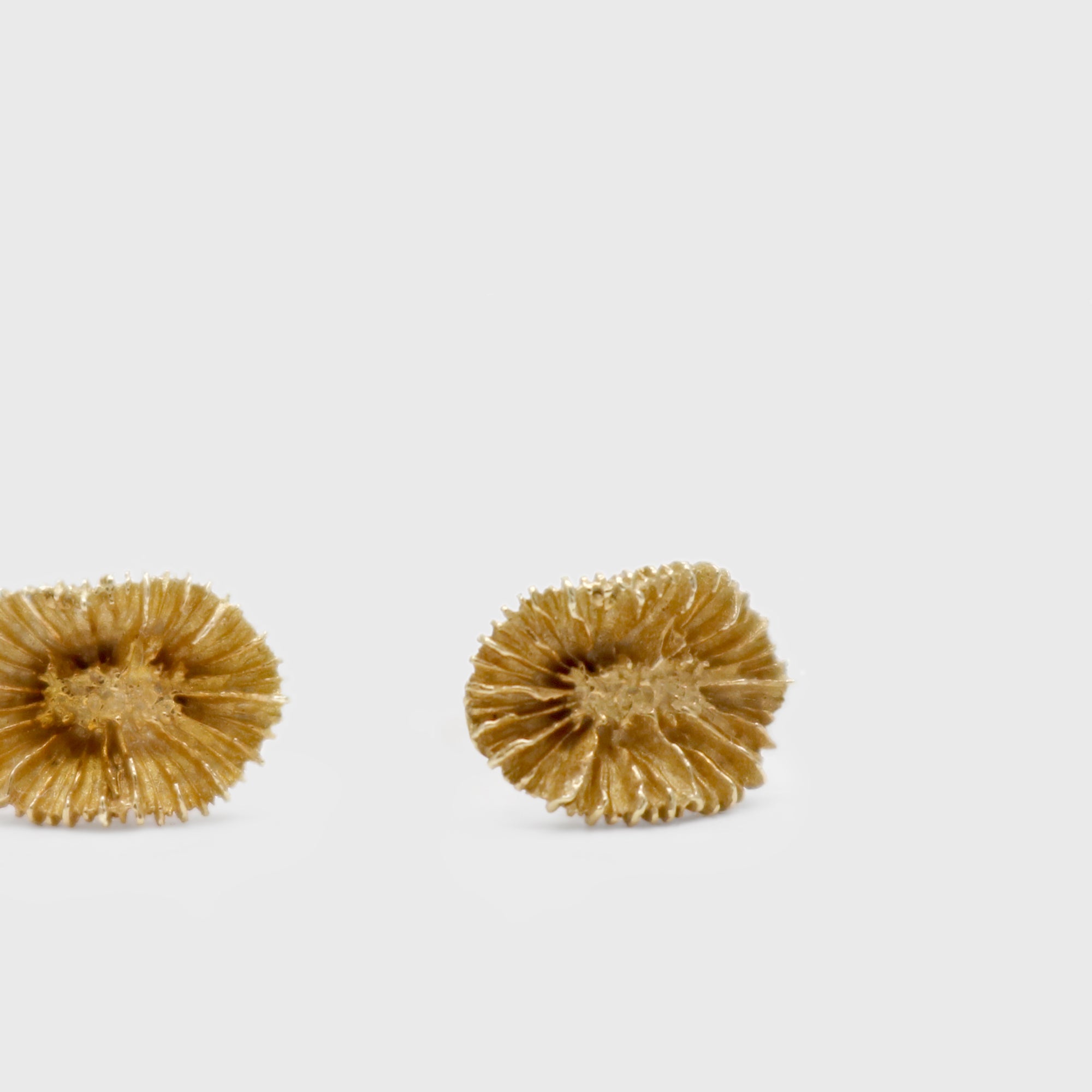 Coral Mini Mini Earrings – Paula Vieira Jewellery